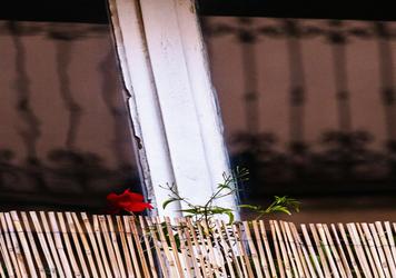 Un voyage VIP à l'intérieur des enchantment : Un trajet Paris à l'expérience